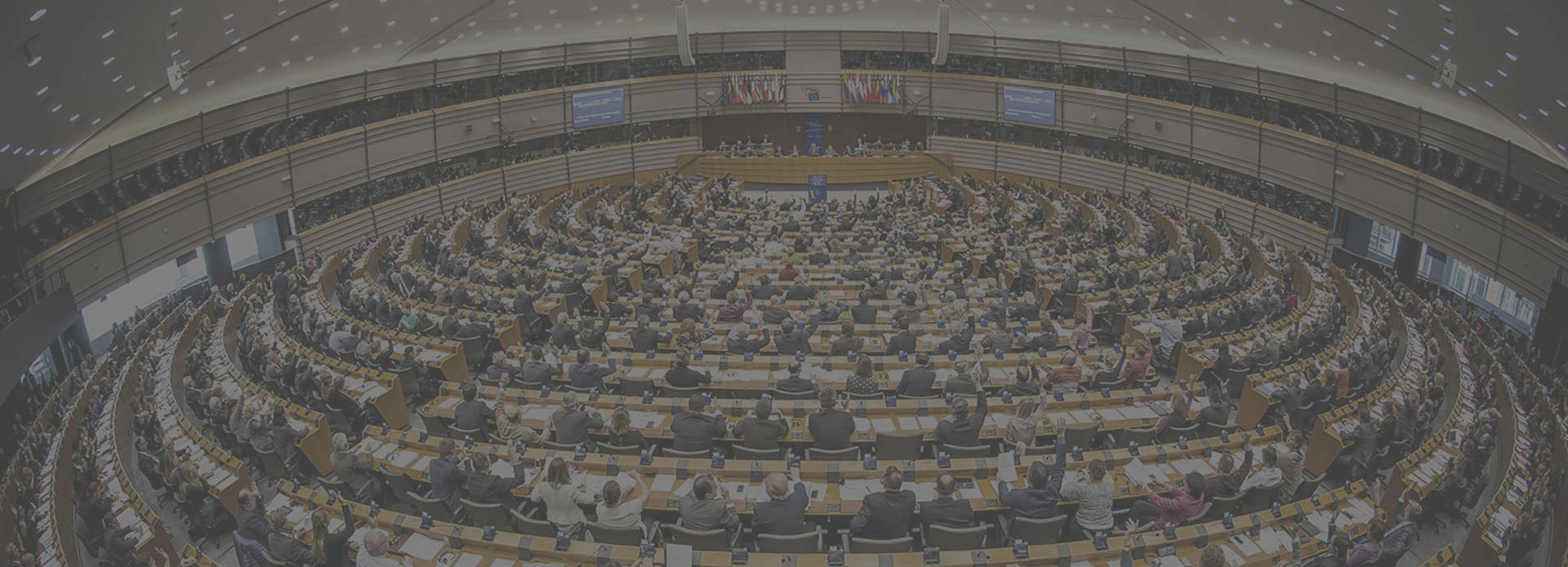 European Law